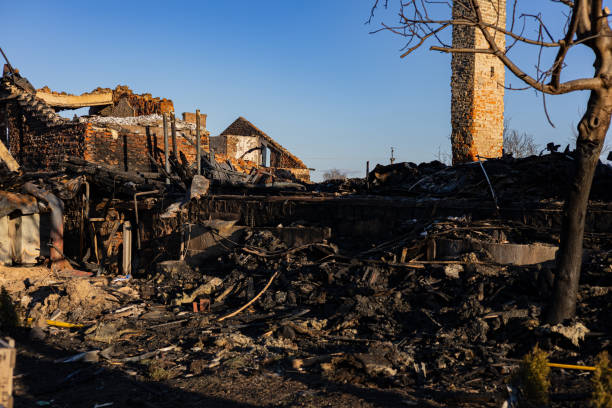 Reliable Content Restoration contractor in Renton, WA by Fire Damage Doption